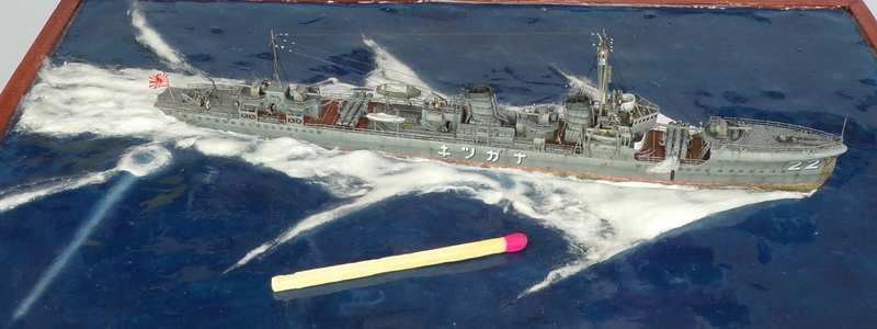 ipms mar del plata