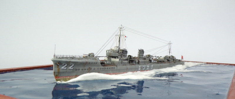 ipms mar del plata
