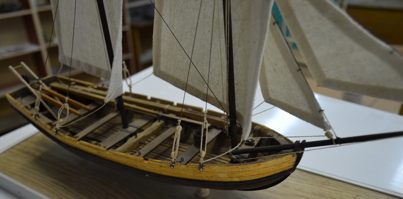 ipms mar del plata