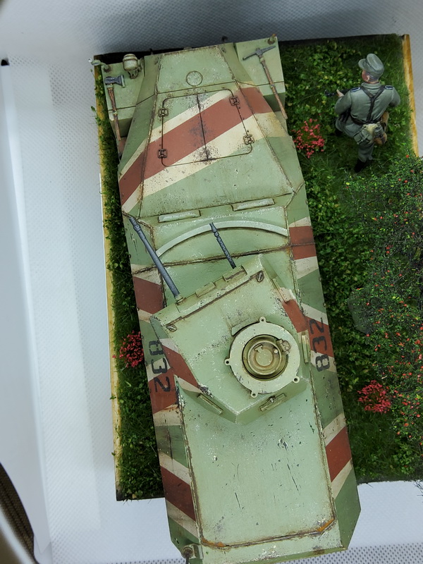 ipms mar del plata
