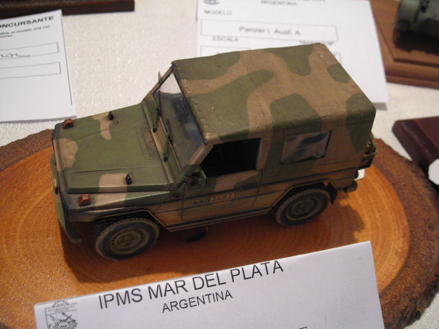 ipms mar del plata