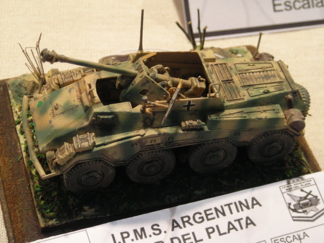 ipms mar del plata