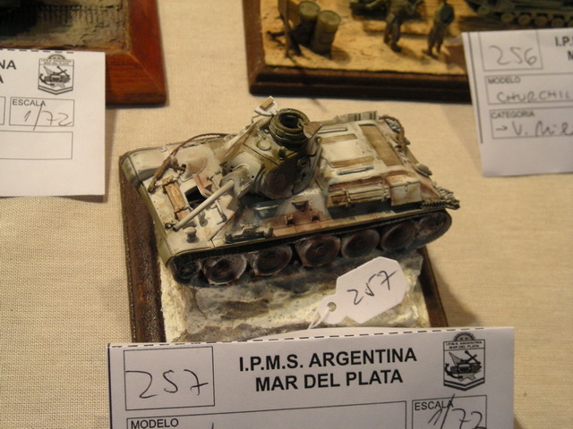 ipms mar del plata