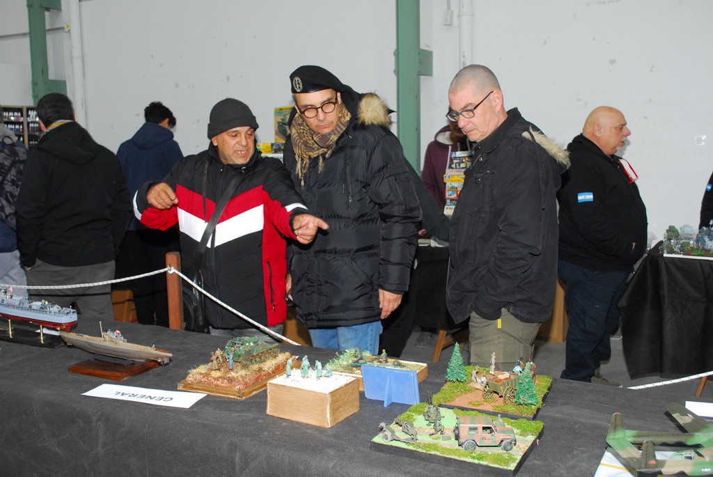 ipms mar del plata