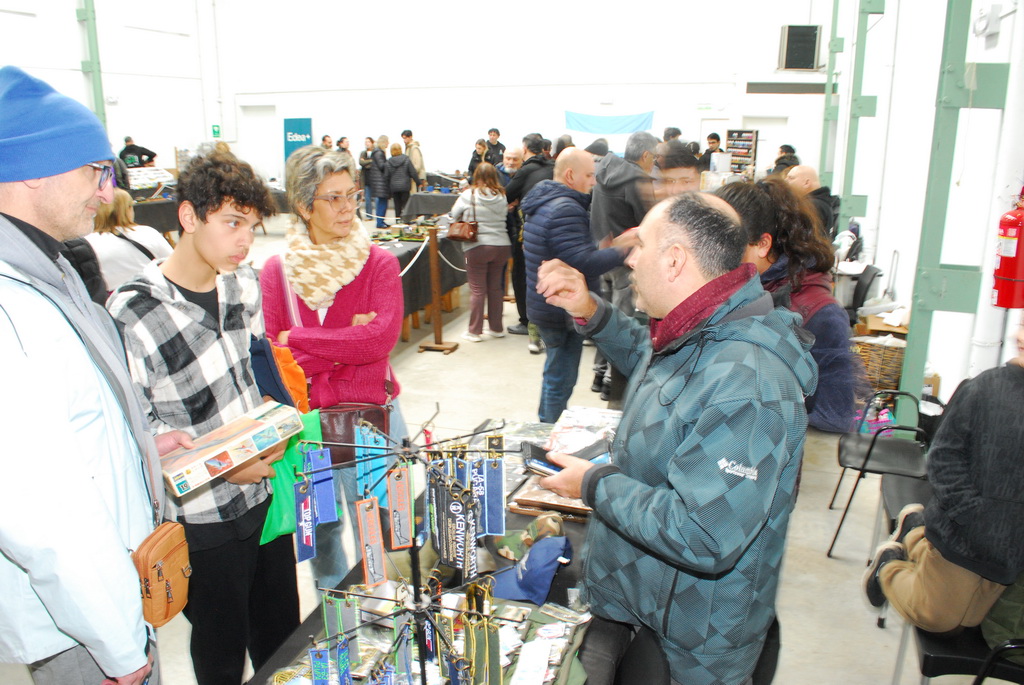 ipms mar del plata
