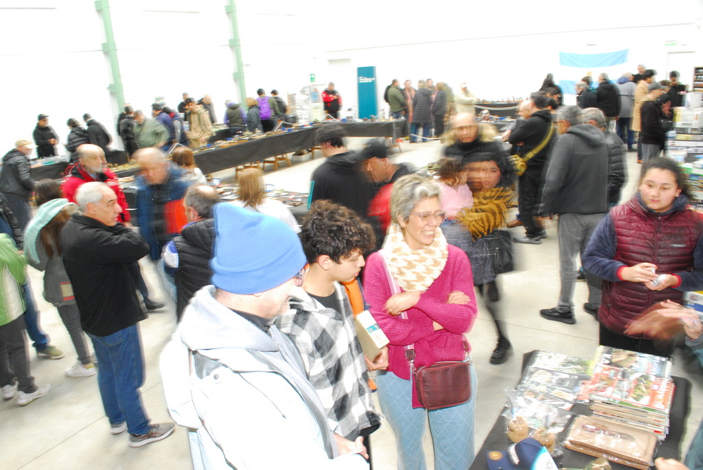 ipms mar del plata